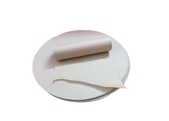Acid Alkali Corrosion Resistant Hepa Filter Paper Polypropylene